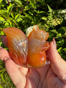 Druzy Carnelian Red Squirrel Carving