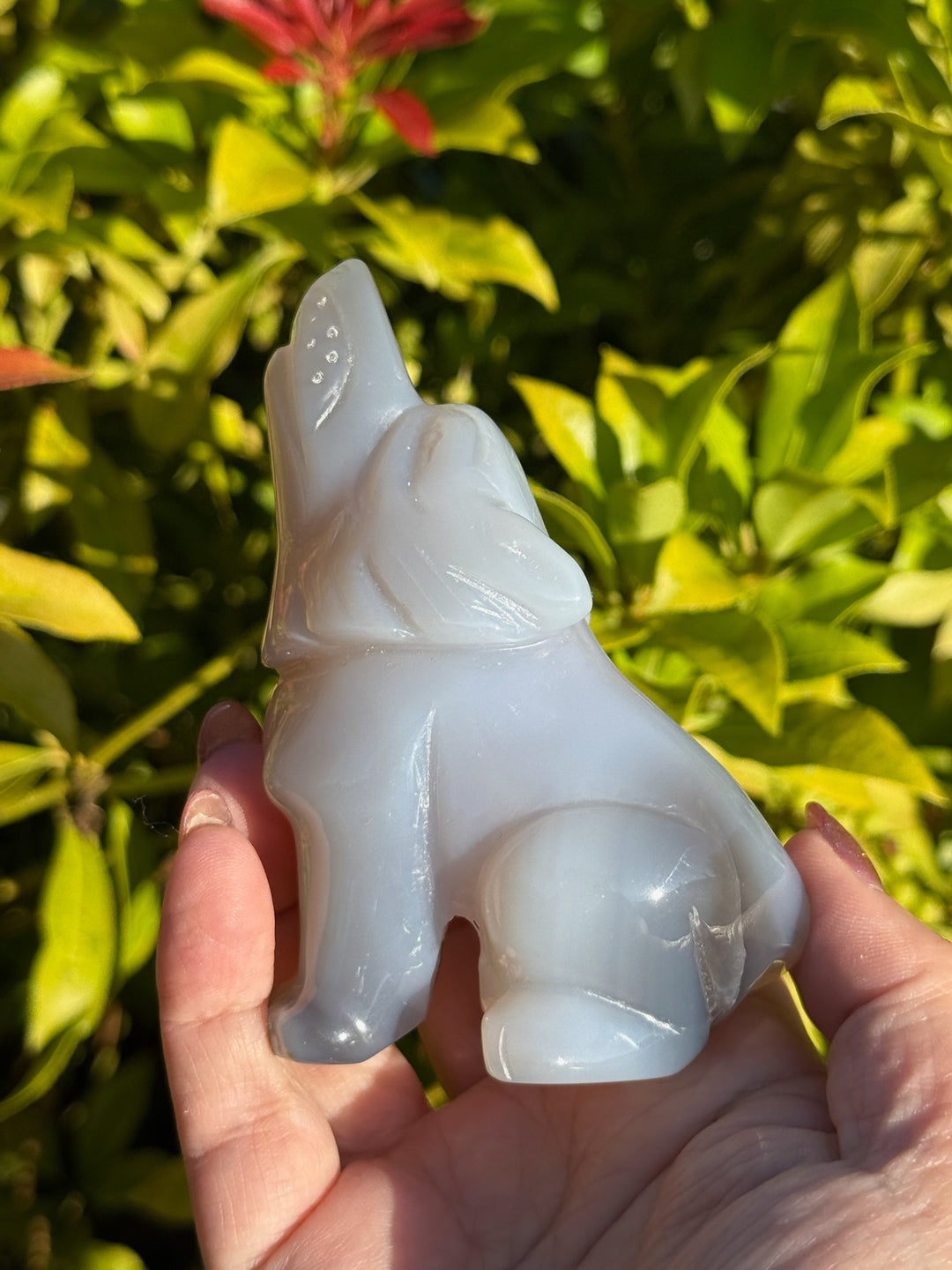 Druzy Agate Howling Wolf Carving with Dendrites