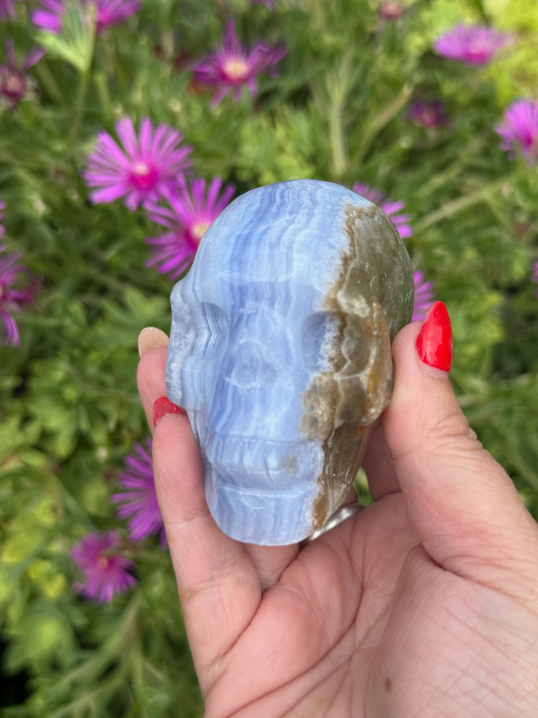 Incredible Blue Lace Agate Skull Carving with Calcite