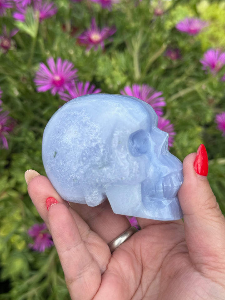 Incredible Blue Lace Agate Skull Carving with Calcite