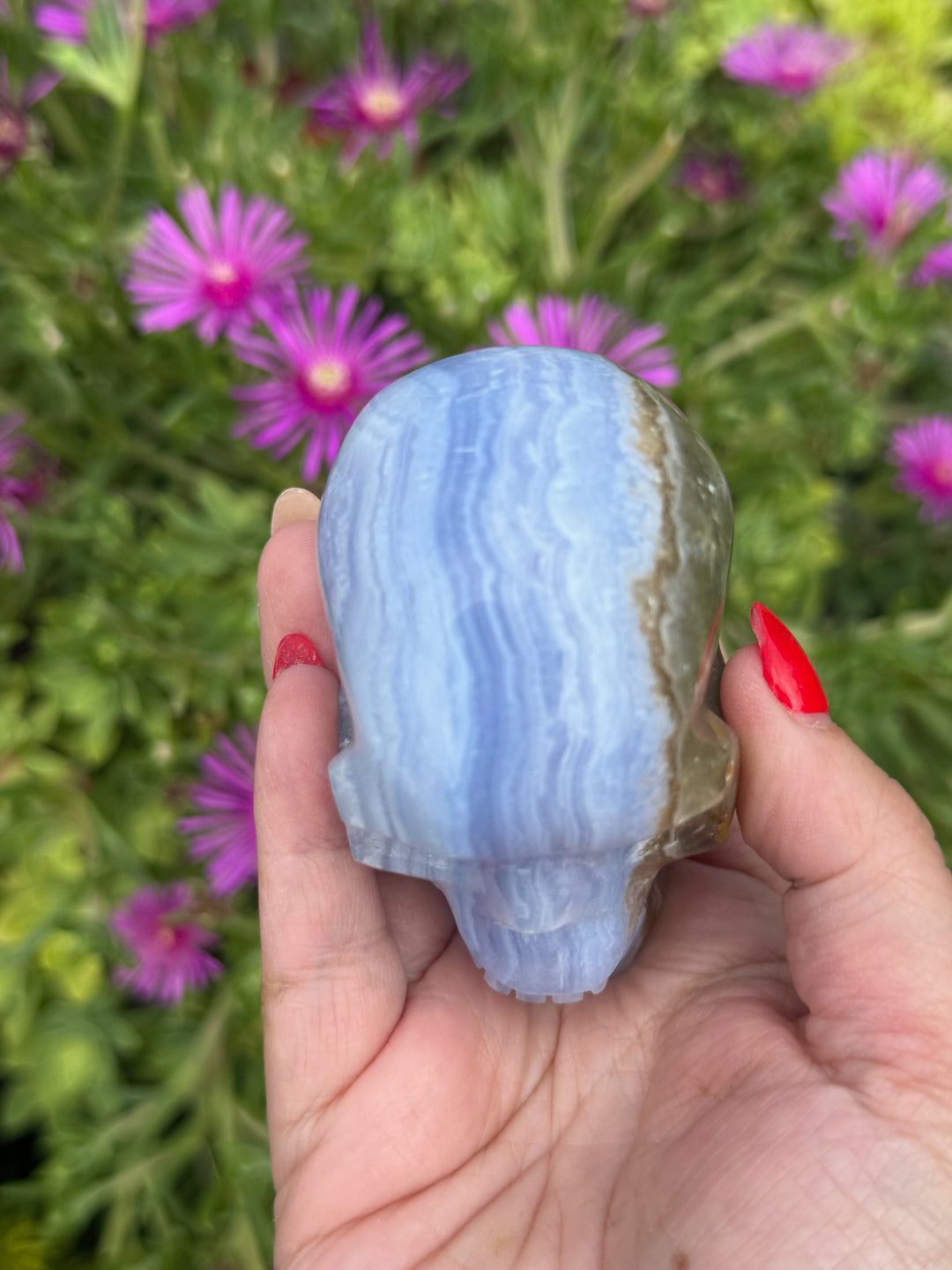 Incredible Blue Lace Agate Skull Carving with Calcite