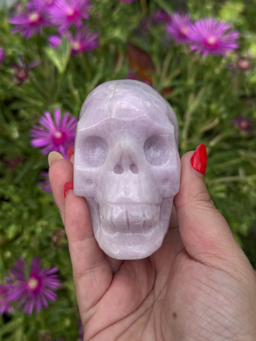 Large UV Reactive Kunzite Skull Carving