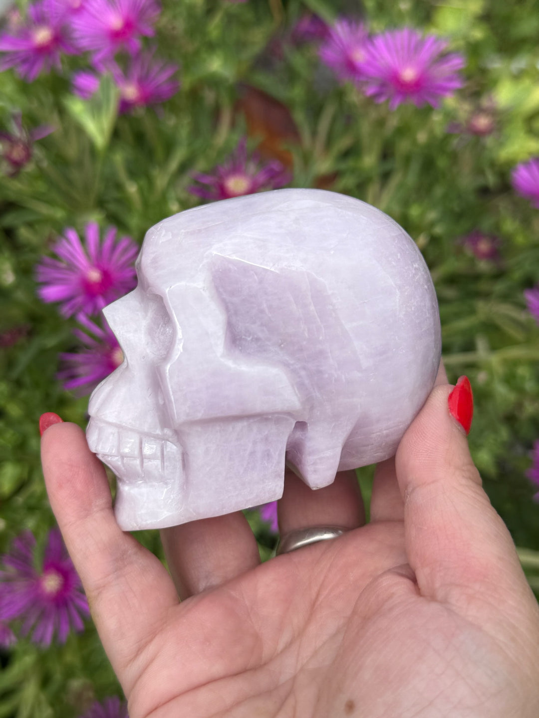 Large UV Reactive Kunzite Skull Carving