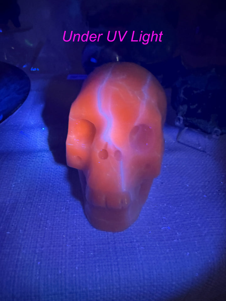 Large UV Reactive Kunzite Skull Carving