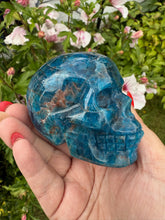 Load image into Gallery viewer, Gemmy Apatite Skull Carving with Sunstone
