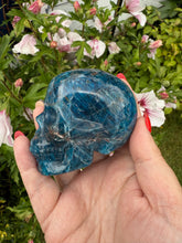 Load image into Gallery viewer, Gemmy Apatite Skull Carving with Sunstone
