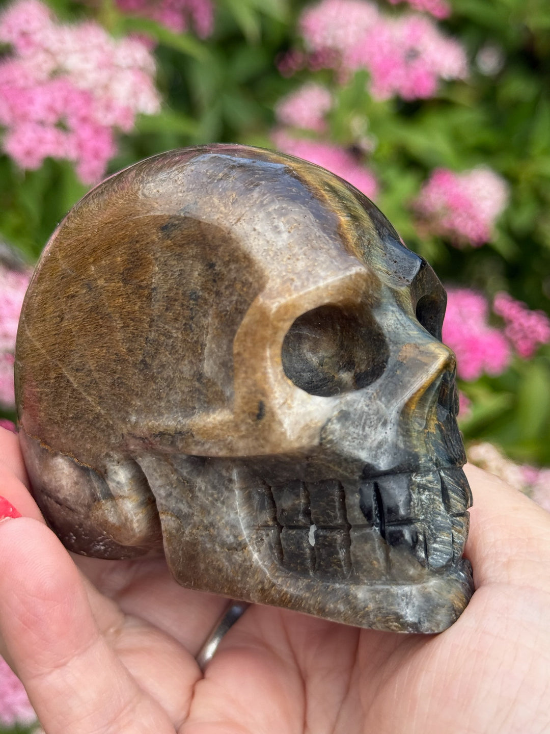 Unusual Blue Tigers Eye Skull Carving