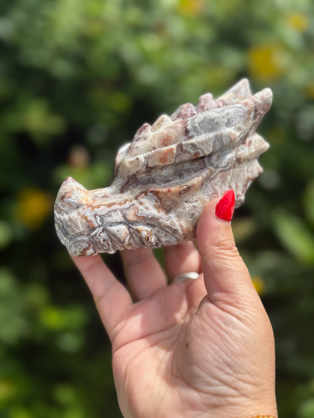 Mexican Crazy Lace Agate Dragon Head Carving