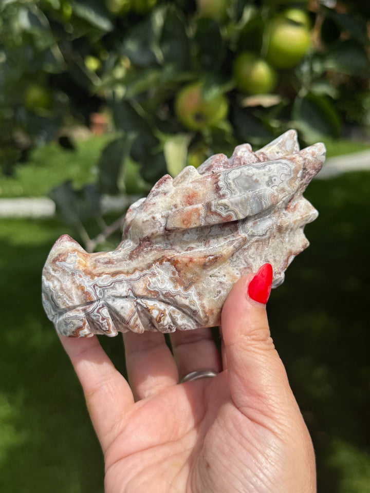 Mexican Crazy Lace Agate Dragon Head Carving