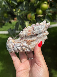 Mexican Crazy Lace Agate Dragon Head Carving