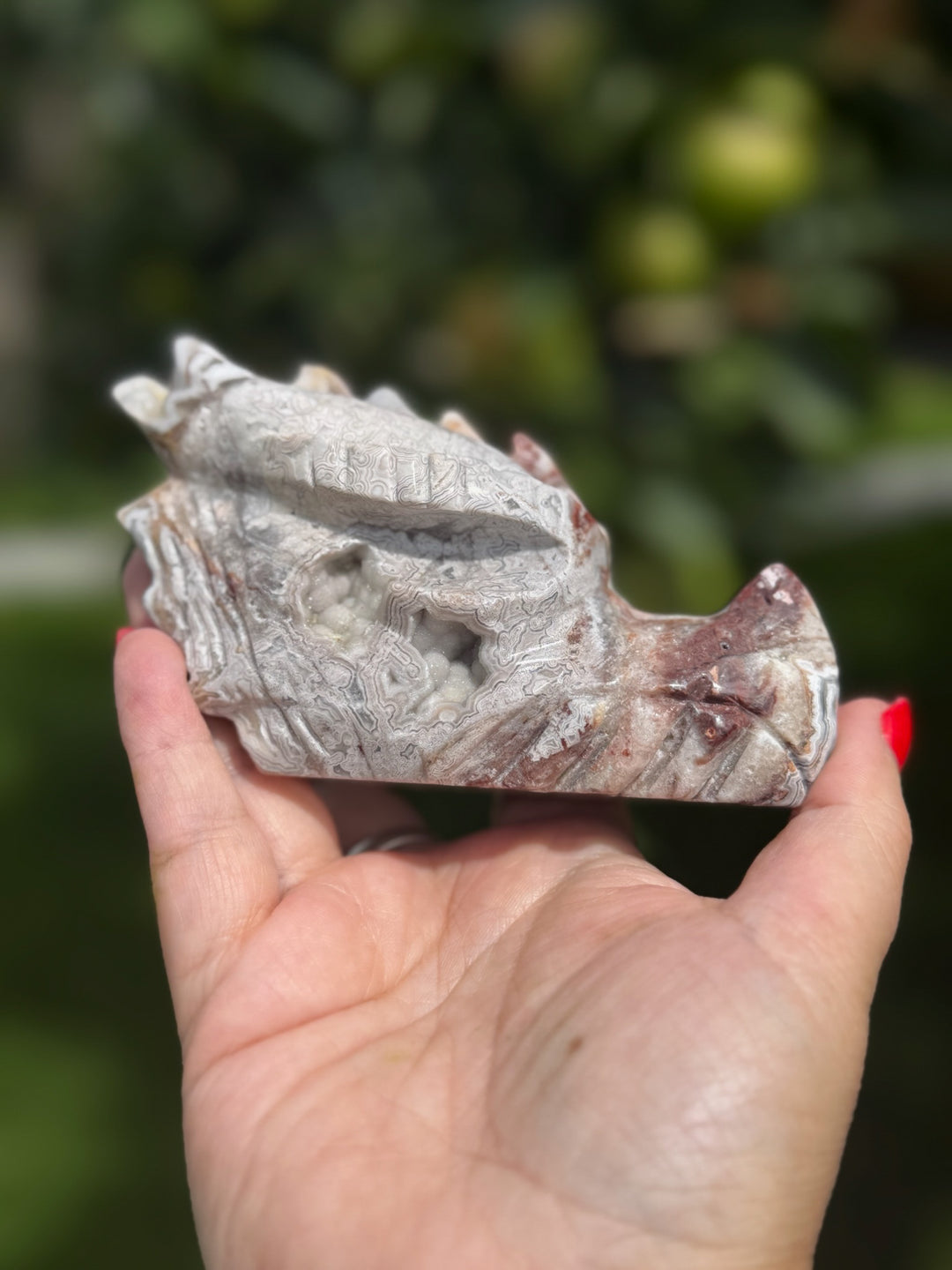 Mexican Crazy Lace Agate Dragon Head Carving