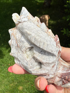 Mexican Crazy Lace Agate Dragon Head Carving
