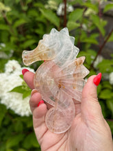 Load image into Gallery viewer, Golden Healer Quartz Sea Horse Carving
