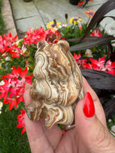 Load image into Gallery viewer, Chocolate Calcite Honey Bear Carving
