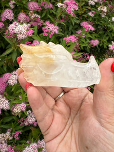 Golden Healer Quartz Dragon Head Carving