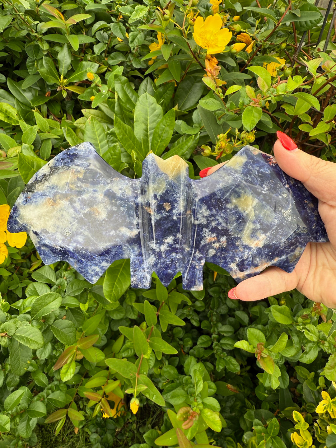 Freestanding Sunset Sodalite Bat Carving