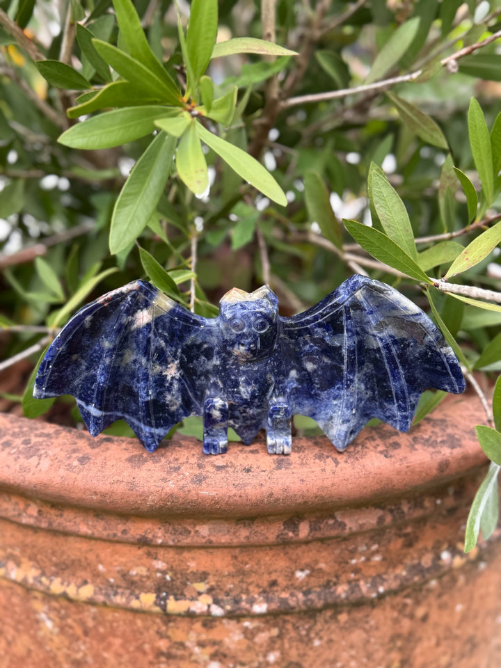 Freestanding Sunset Sodalite Bat Carving