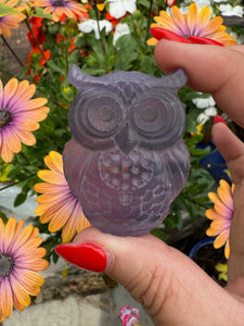 Purple Fluorite Owl Carving