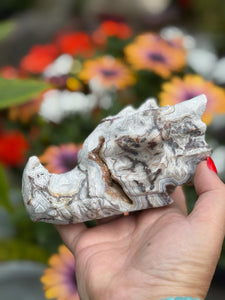 Druzy Crazy Lace Agate Dragon Head Carving