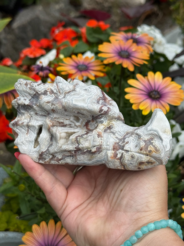 Druzy Crazy Lace Agate Dragon Head Carving