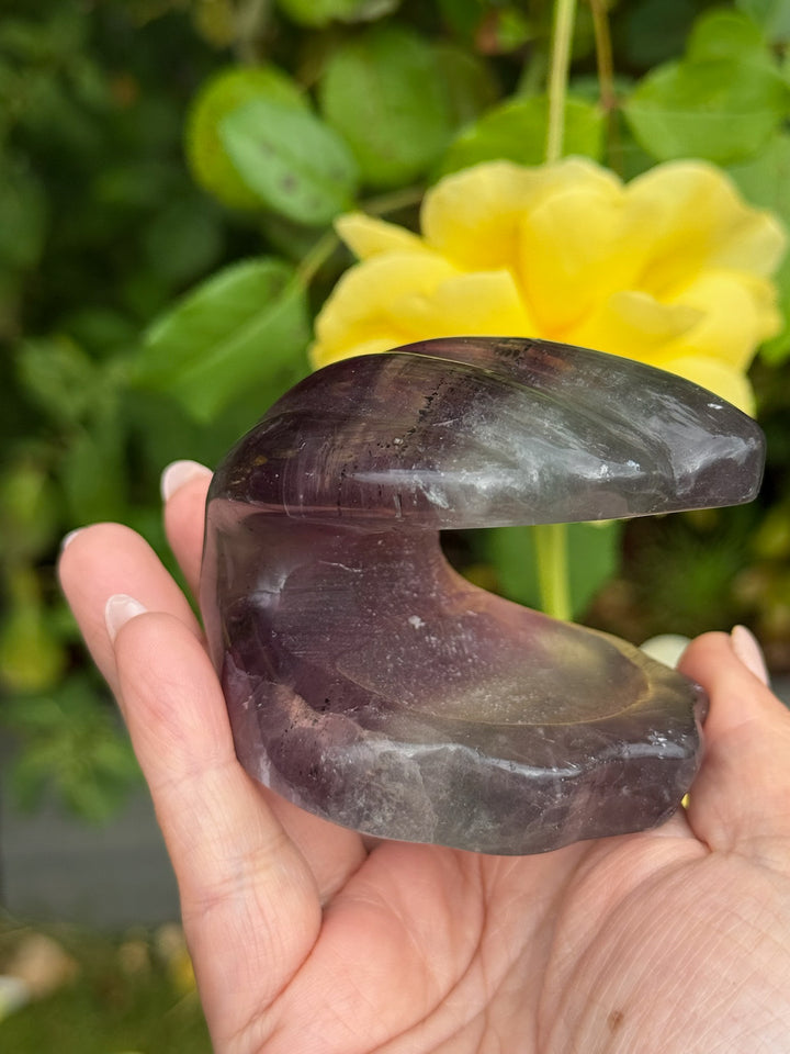 Banded Fluorite Clam Shell  Carving