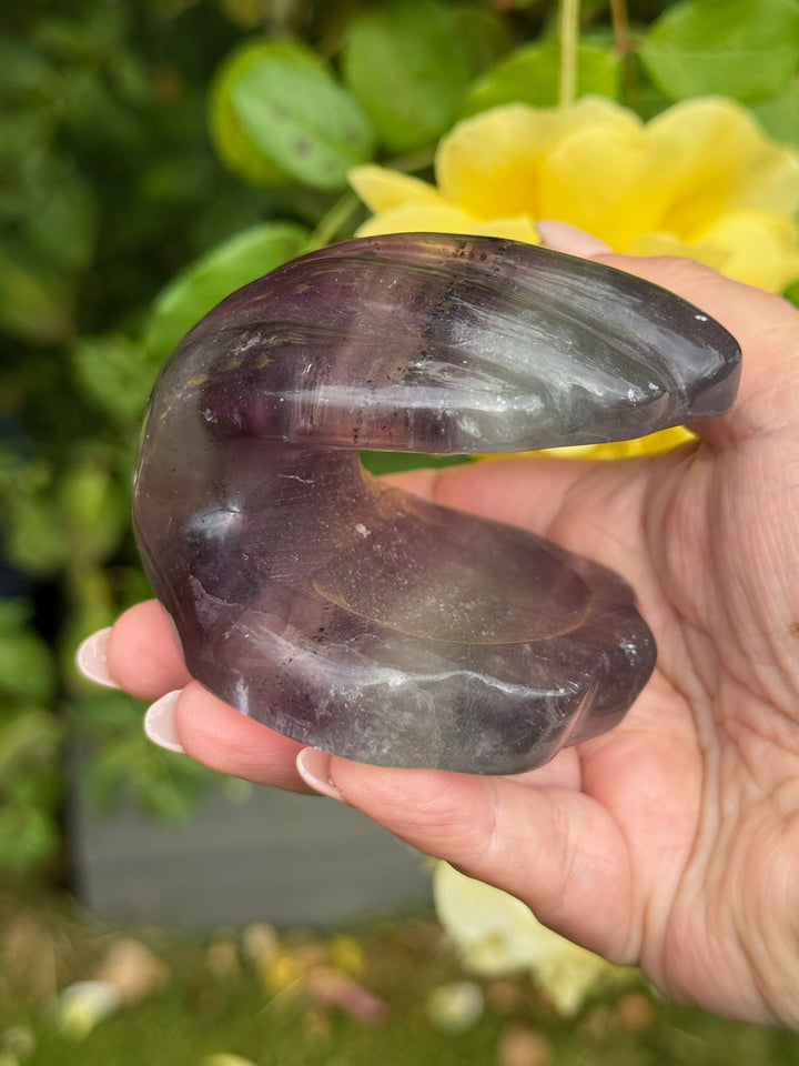 Banded Fluorite Clam Shell  Carving