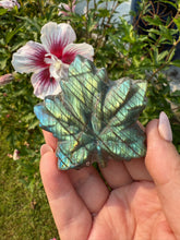 Load image into Gallery viewer, Green Flash Labradorite Leaf Carving
