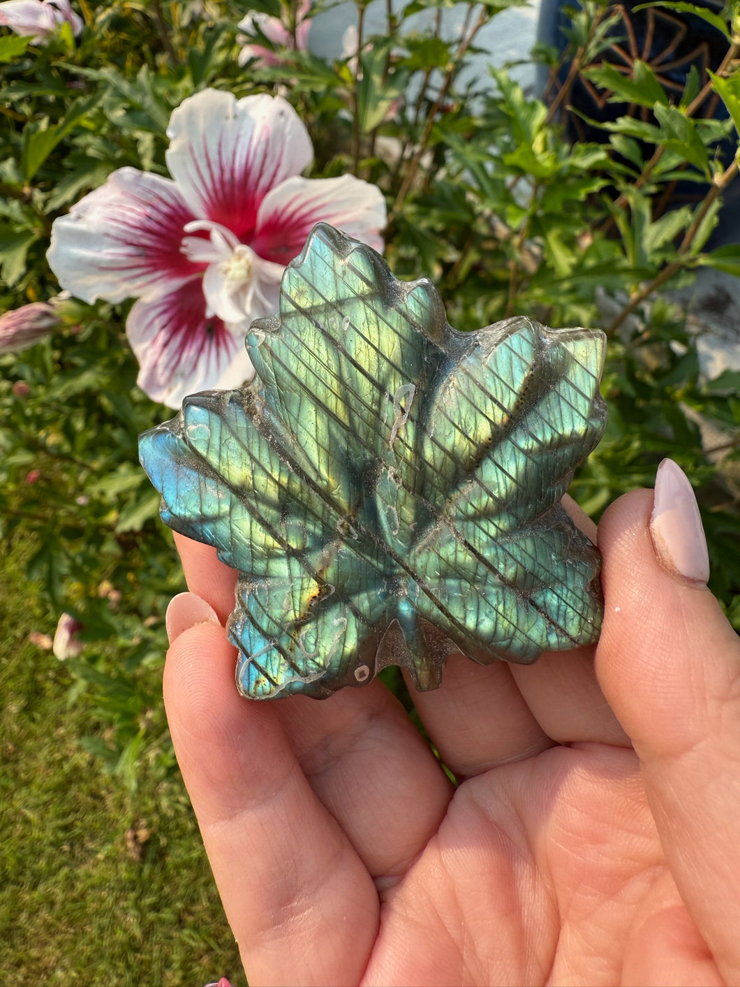 Green Flash Labradorite Leaf Carving