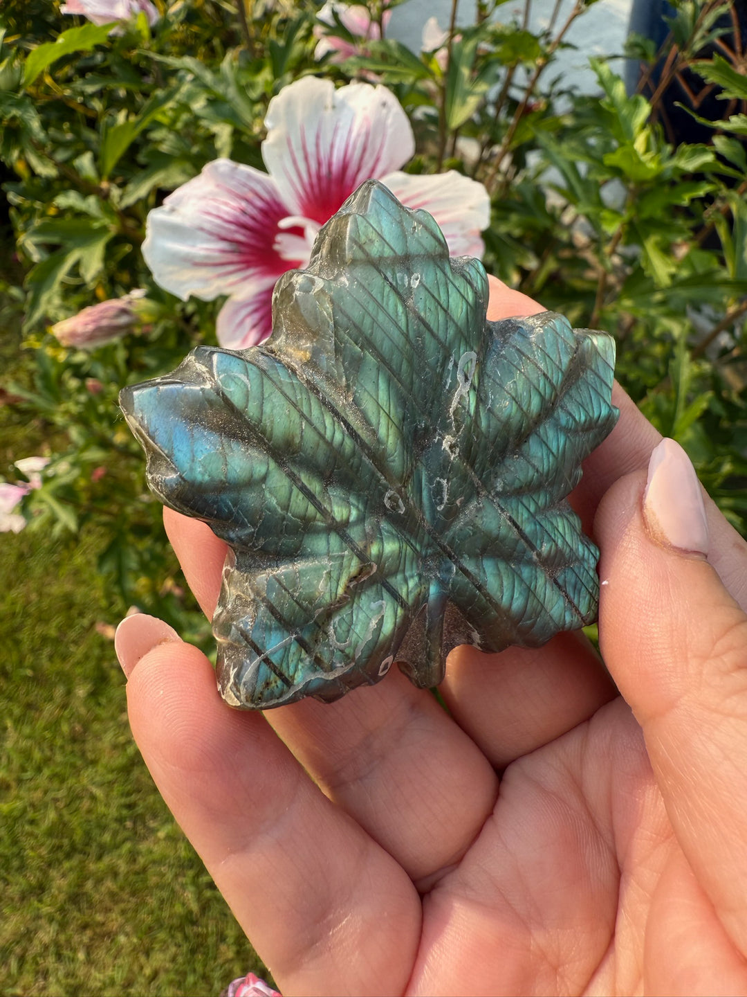 Green Flash Labradorite Leaf Carving