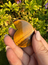 Load image into Gallery viewer, High Quality Tigers Eye Ammonite Carving
