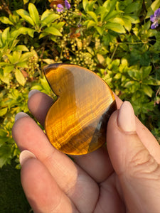 High Quality Tigers Eye Ammonite Carving