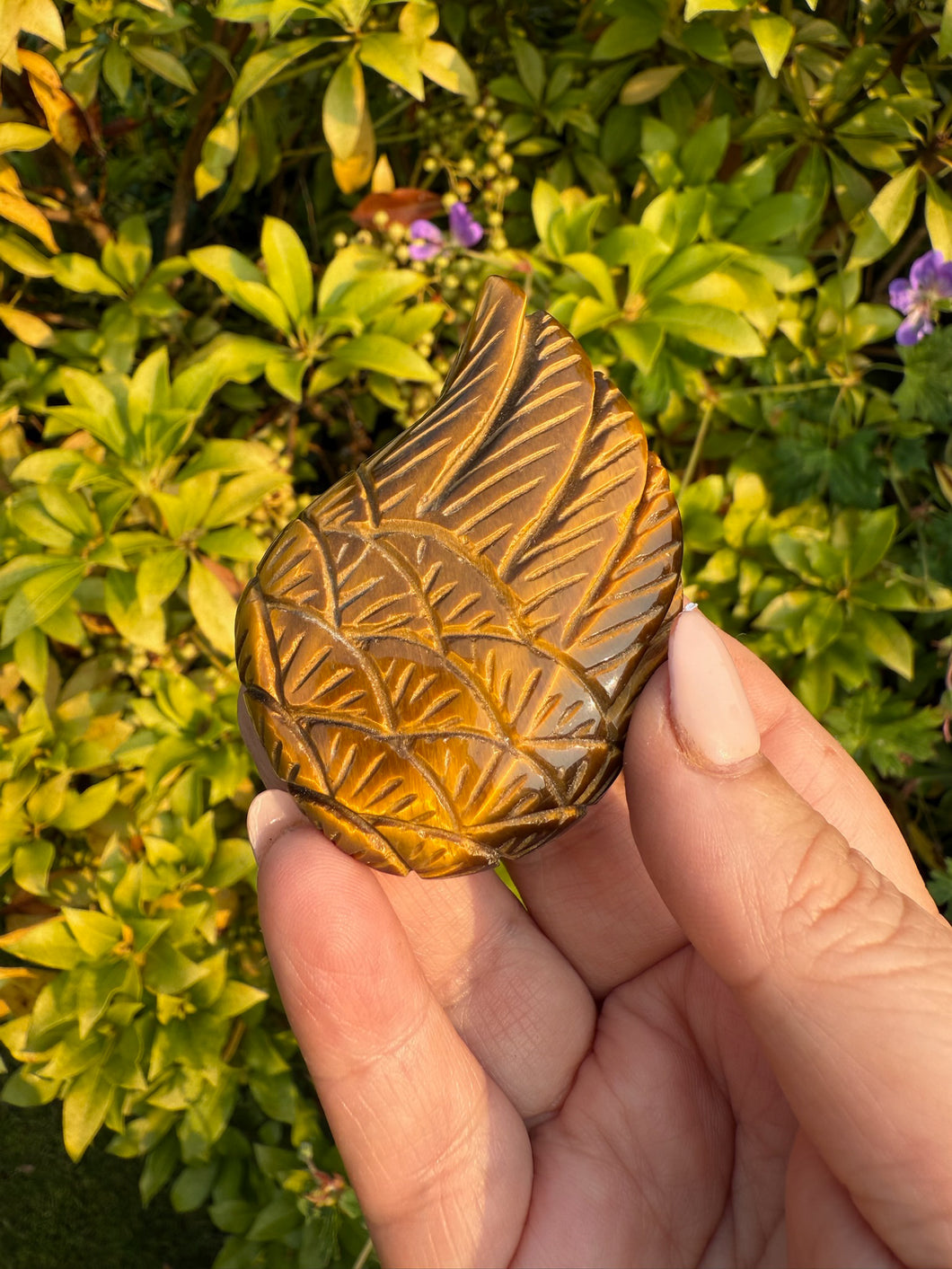 High Quality Tigers Eye Wing Carving