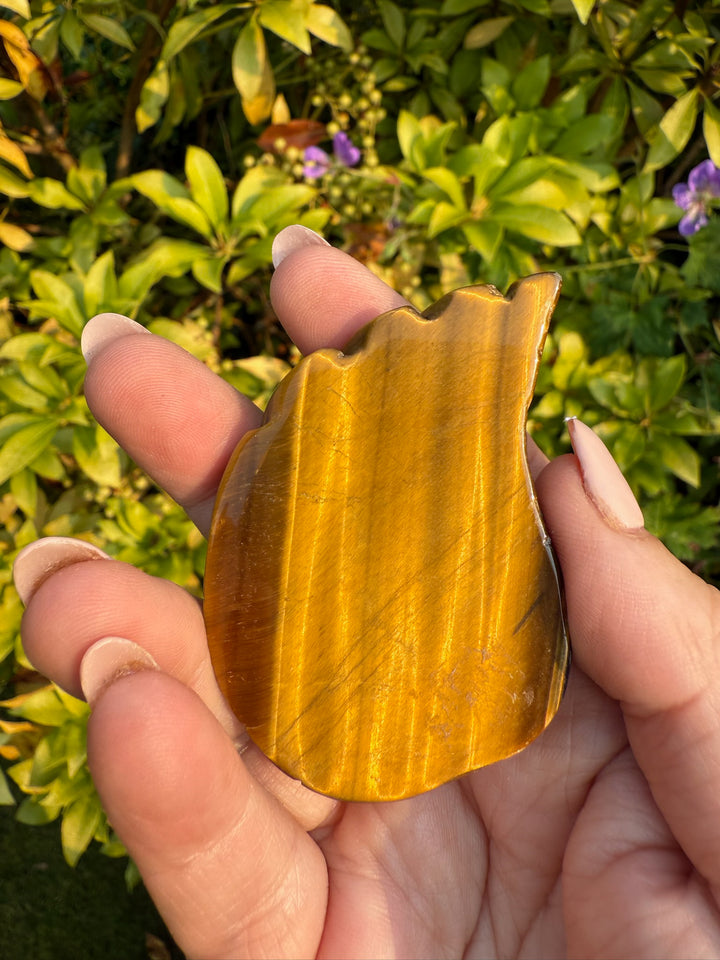 High Quality Tigers Eye Wing Carving