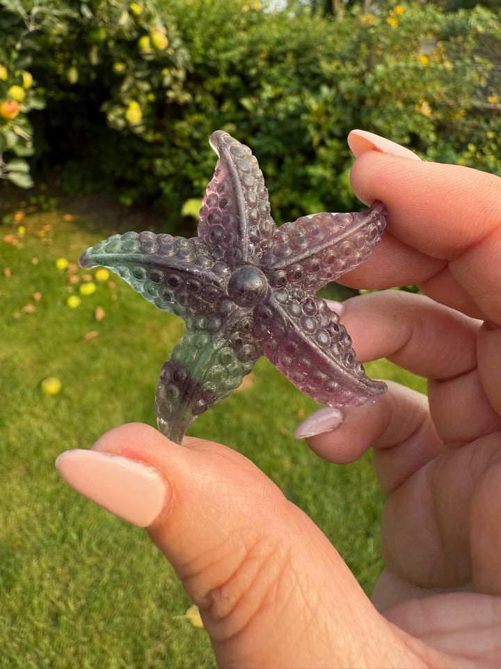 Rainbow Fluorite Starfish Carving