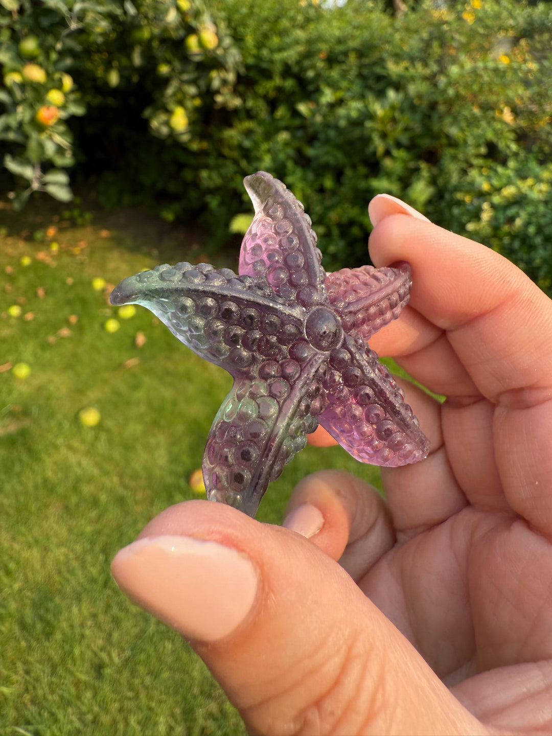 Rainbow Fluorite Starfish Carving