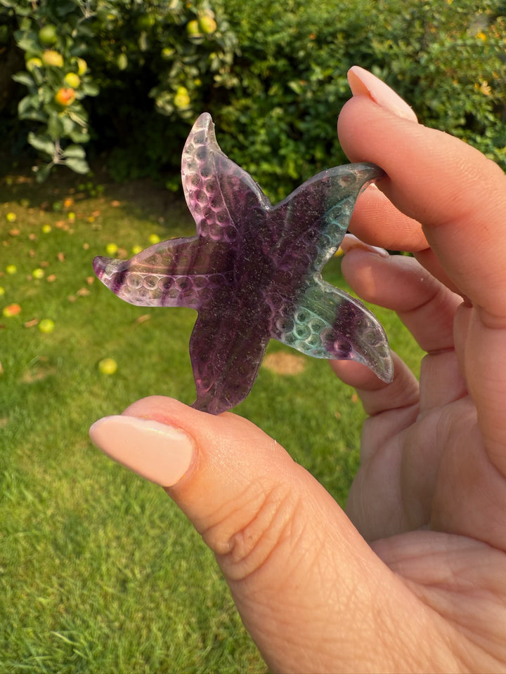 Rainbow Fluorite Starfish Carving