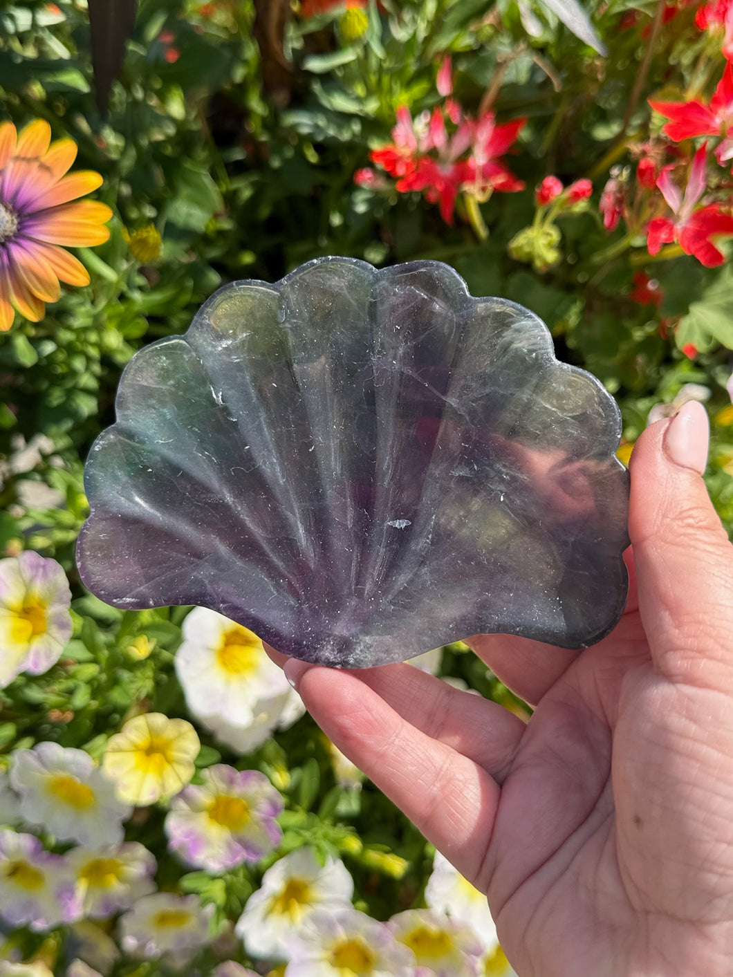 Rainbow Fluorite Shell Dish Carving