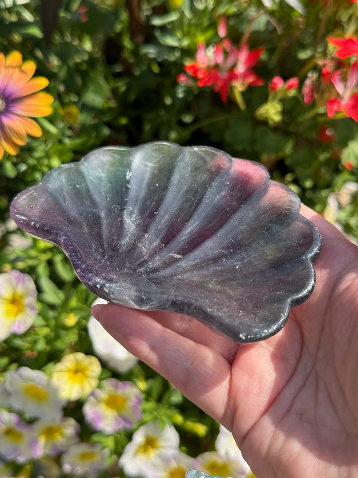 Rainbow Fluorite Shell Dish Carving
