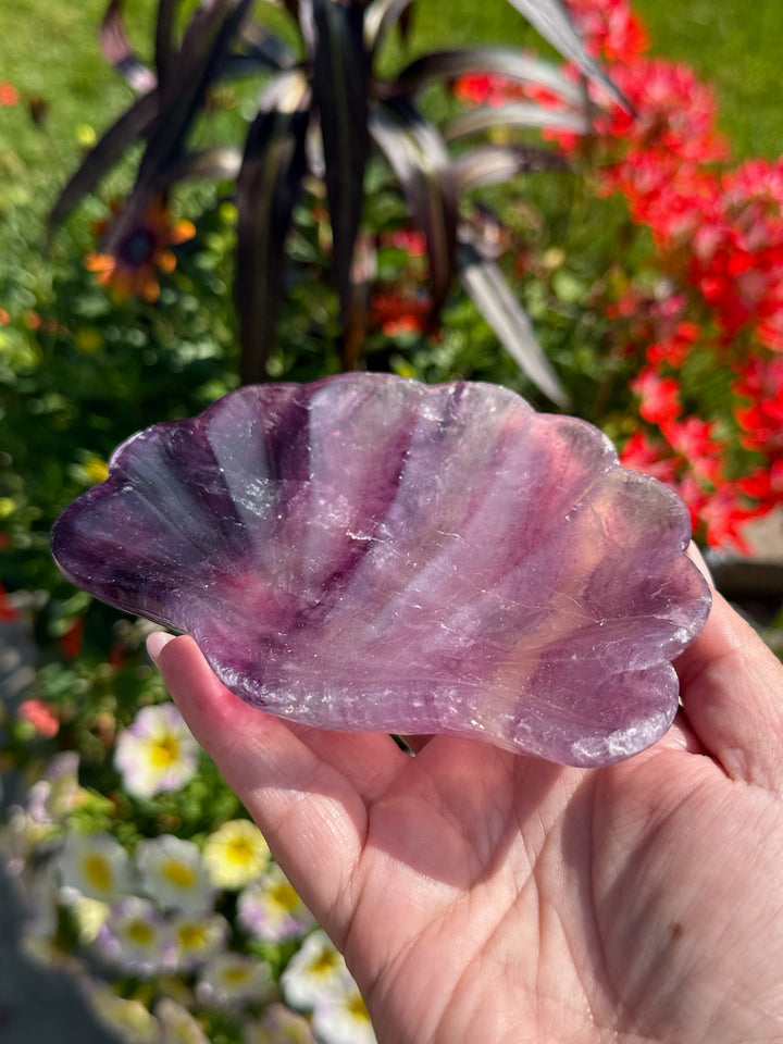 Purple Fluorite Shell Dish Carving