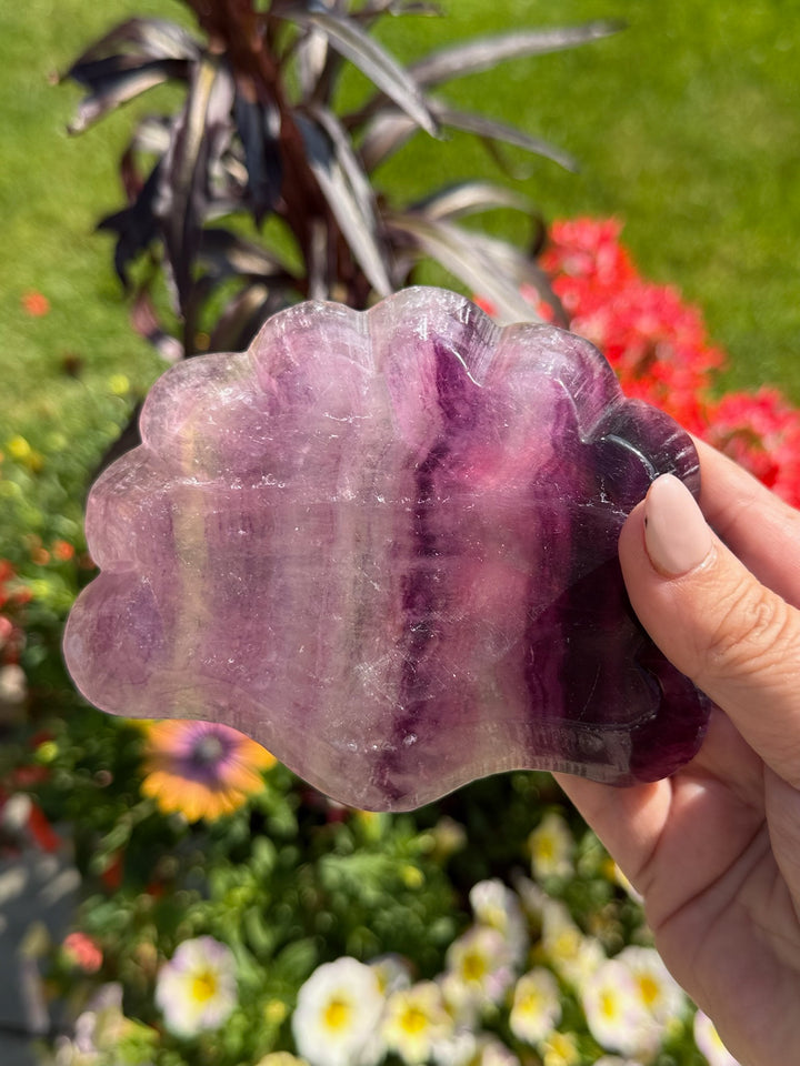 Purple Fluorite Shell Dish Carving