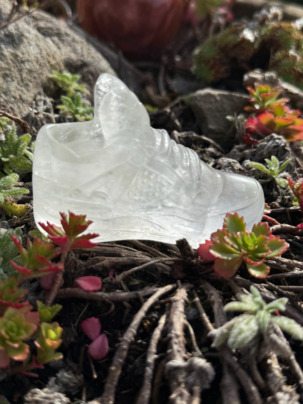 Quartz Trainer Sneaker Carving