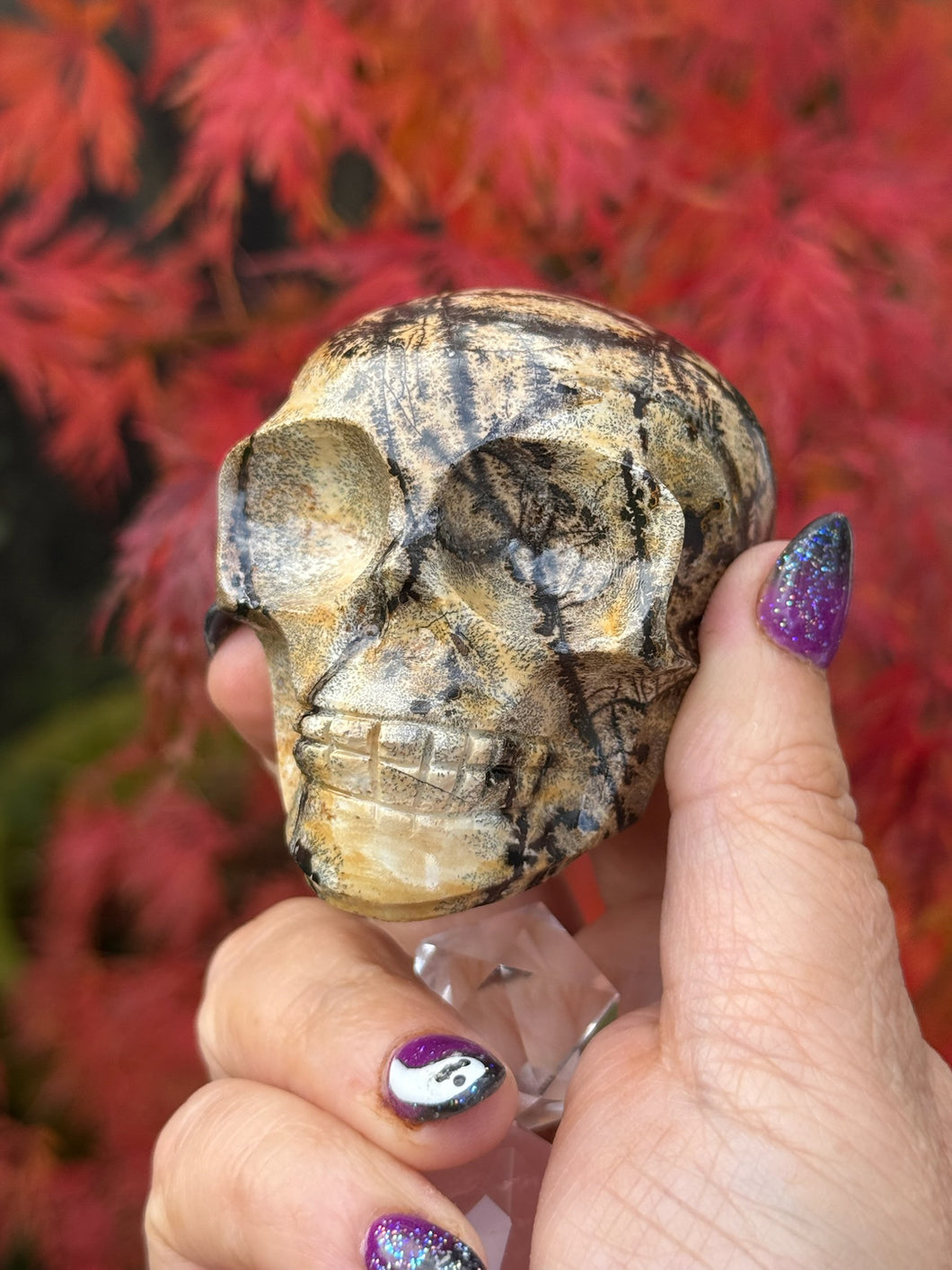 Picture Jasper Skull Carving