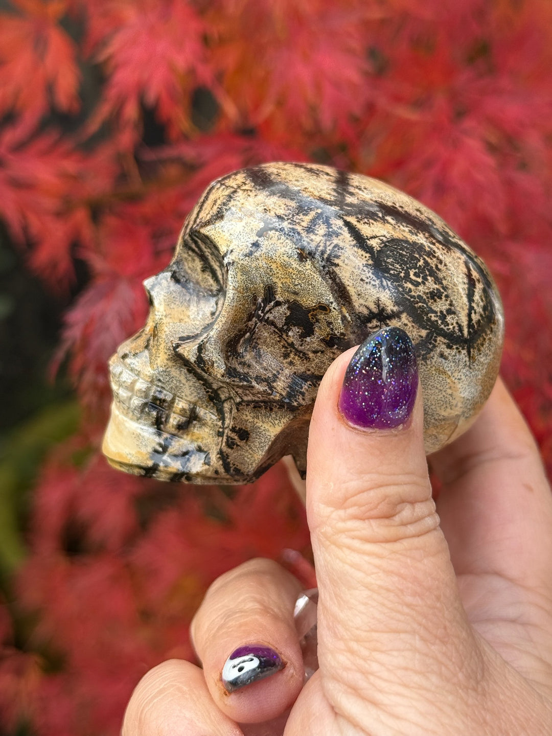 Picture Jasper Skull Carving