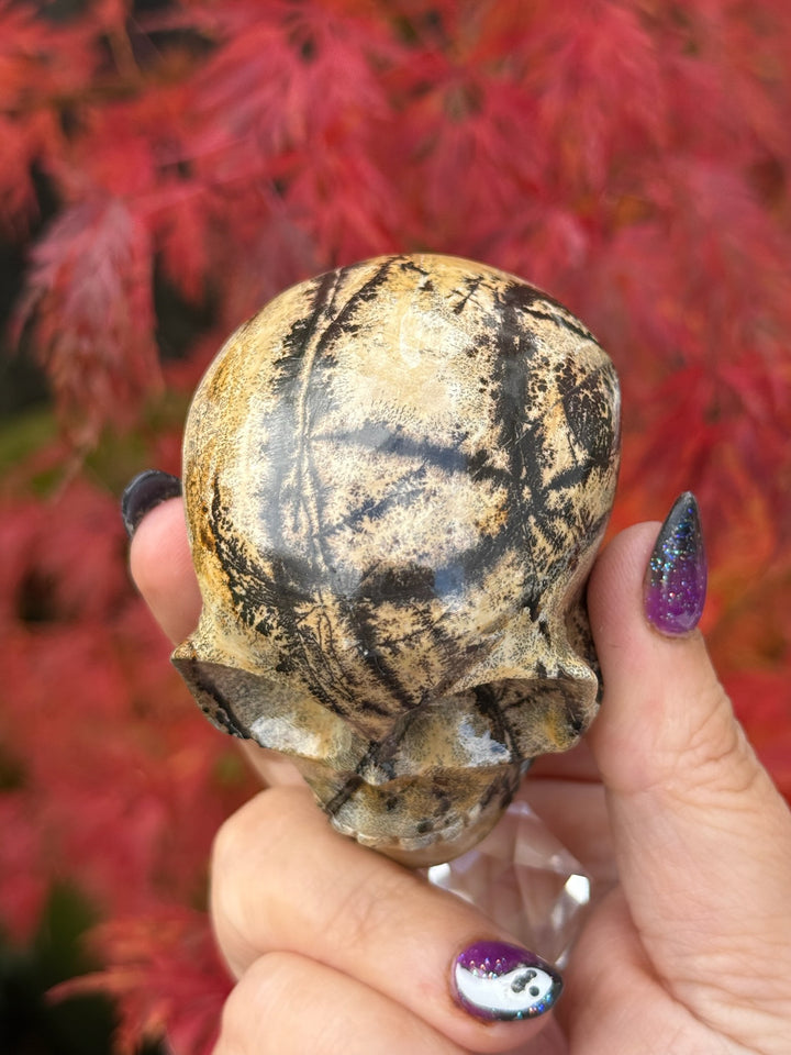 Picture Jasper Skull Carving