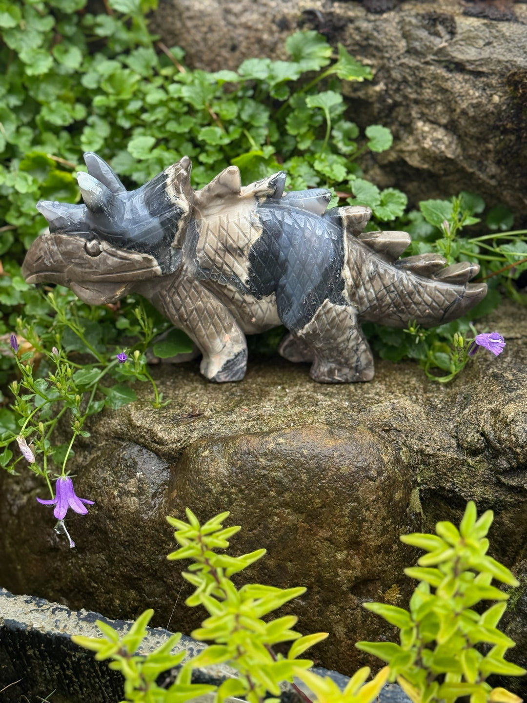 UV Reactive Volcano Agate Dinosaur Triceratops Carving a Statement Piece