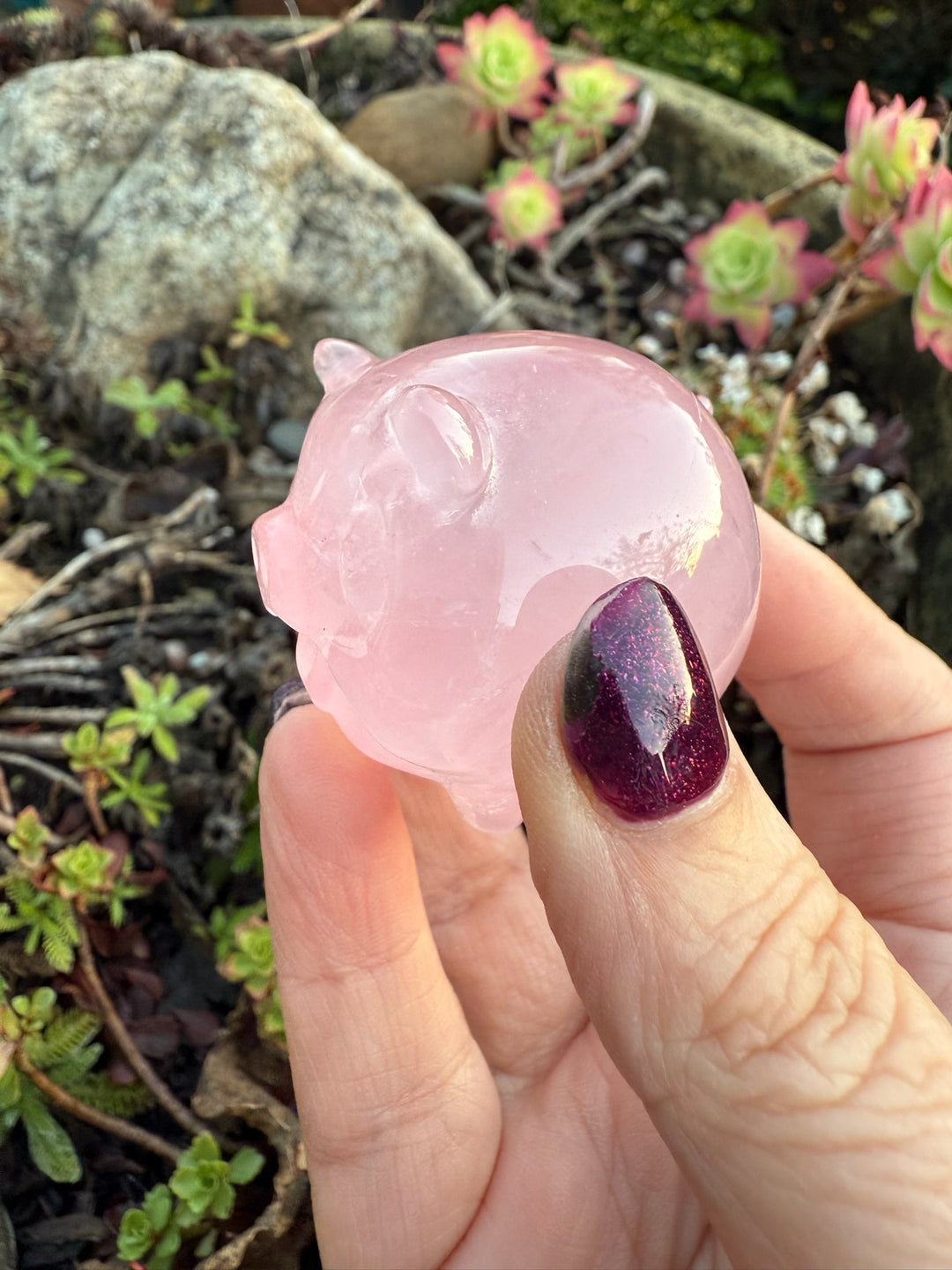 Gemmy Star Rose Quartz Pig Carving with Rainbows