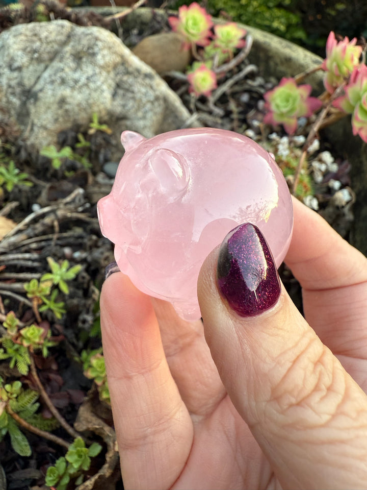 Gemmy Star Rose Quartz Pig Carving with Rainbows