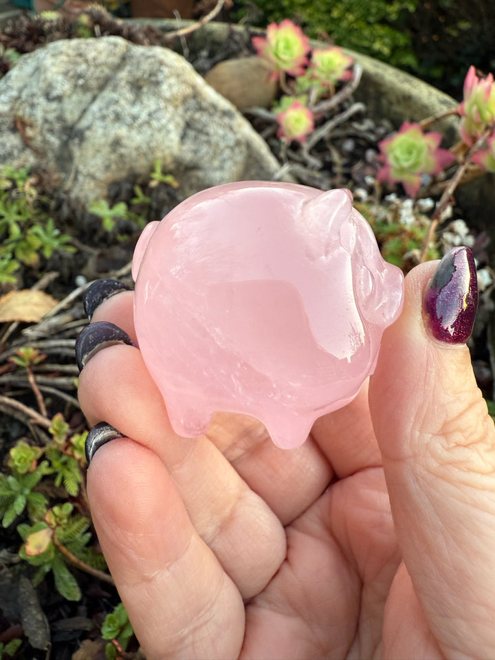 Gemmy Star Rose Quartz Pig Carving with Rainbows