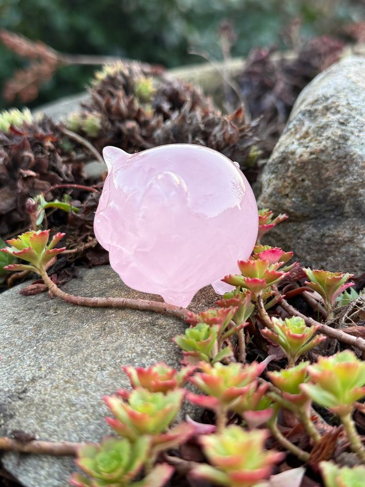 Gemmy Star Rose Quartz Pig Carving