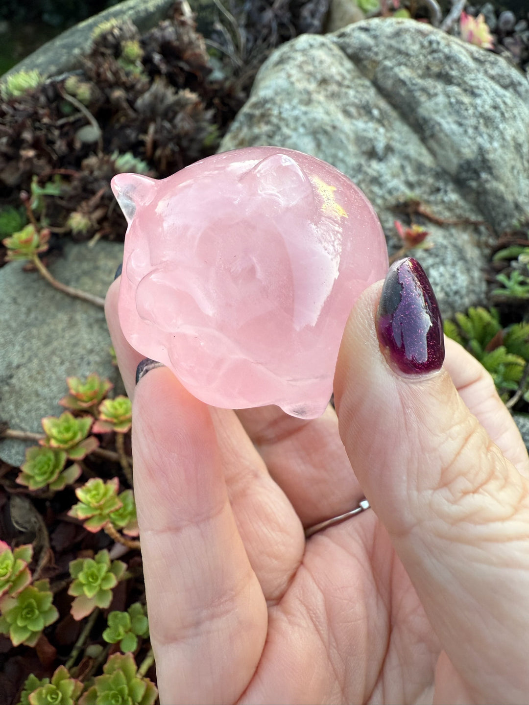 Gemmy Star Rose Quartz Pig Carving